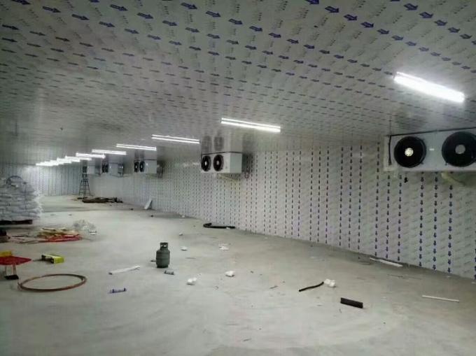 Caminhada feita sob encomenda do hotel na sala de armazenamento frio do painel para bebidas da bebida