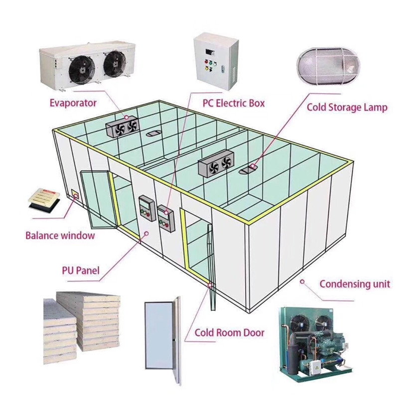 Sala de armazenamento a frio de pequena a grande capacidade para várias aplicações