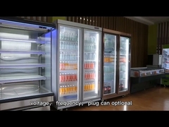 New Style Remote Cooling System R22 Commercial Beverage Showcase Upright Cooler