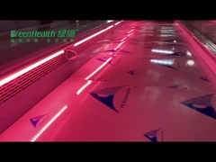 Congelador da exposição da carne fresca do supermercado de aço inoxidável para o restaurante