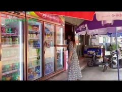 As 2 portas de vidro comerciais indicam o congelador de refrigerador para a bebida fria da bebida