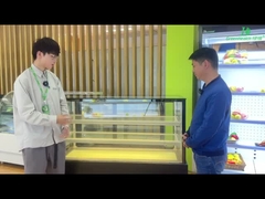 O auto de vidro de Front Open Cake Display Freezer - contenha