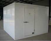 A sala de armazenamento frio comercial para peixes/água refrigerou a caminhada em um congelador mais frio