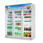 Mostra comercial da exposição do refrigerador da bebida das bebidas das flores com portas dobro
