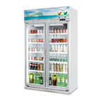 O refrigerador/bebidas de vidro da exposição da bebida do congelador da porta das prateleiras ajustáveis indica o refrigerador