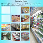O supermercado profissional projeta equipamentos de refrigeração para frutos/vegetal