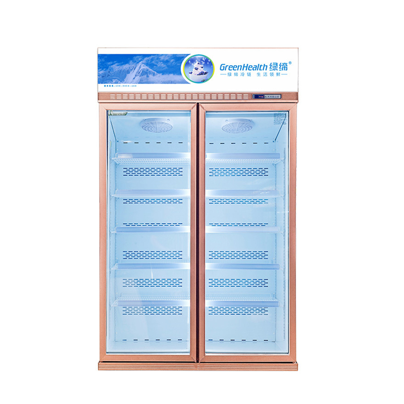 Acontecimento de energia Display comercial personalizável congelador para a conservação de produtos alimentares