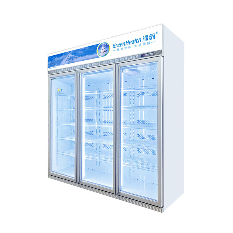 Acontecimento de energia Display comercial personalizável congelador para a conservação de produtos alimentares