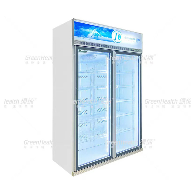Frigorífico comercial vertical de 2 portas com ventilador e LED