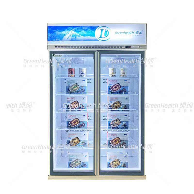 Frigorífico comercial vertical de 2 portas com ventilador e LED