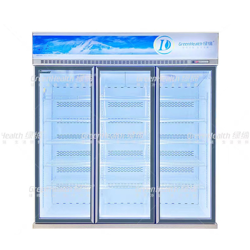 Frigorífico comercial vertical de 2 portas com ventilador e LED