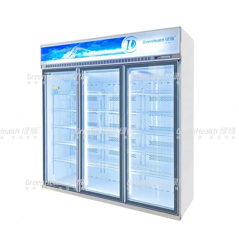 Frigorífico comercial vertical de 2 portas com ventilador e LED