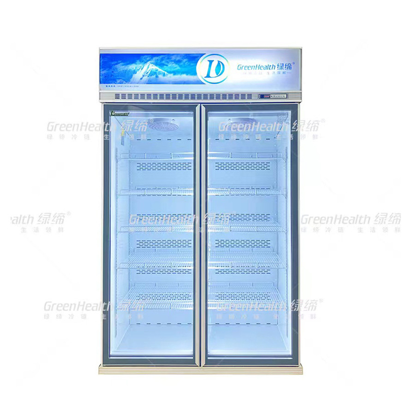 Frigorífico comercial vertical de 2 portas com ventilador e LED
