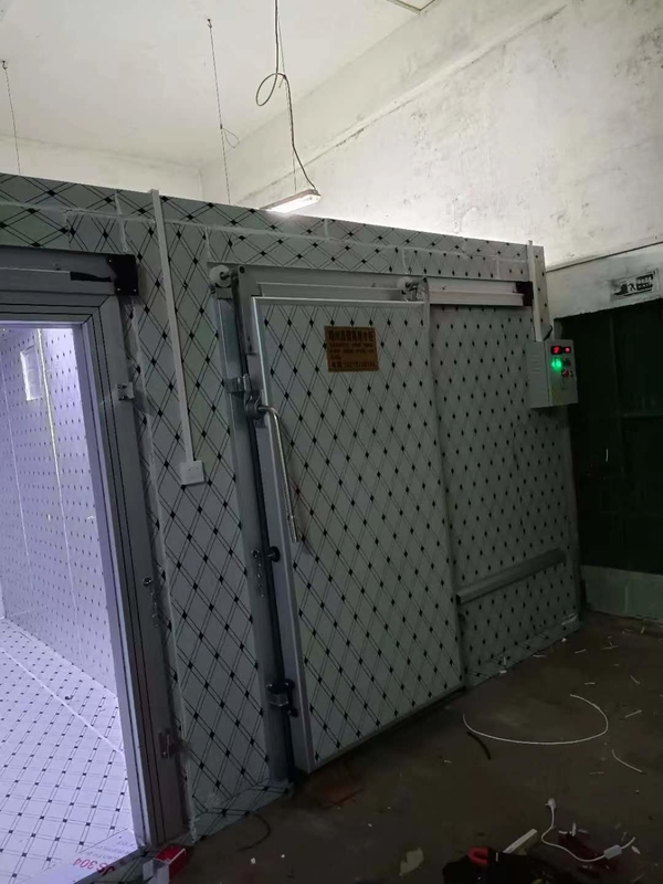 Sala de armazenamento a frio personalizada para congelação de peixe e carne com sistema de controlo automático