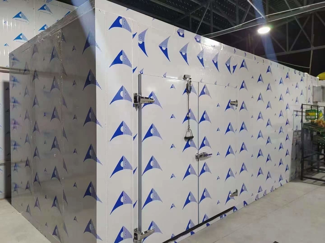 Painéis de PU Sala de armazenamento a frio Freezer modular com diferentes temperaturas