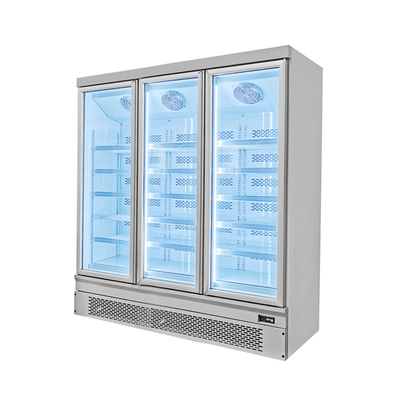 Eficiência energética 1 2 3 Porta de vidro congelador com porta traseira automática rápida