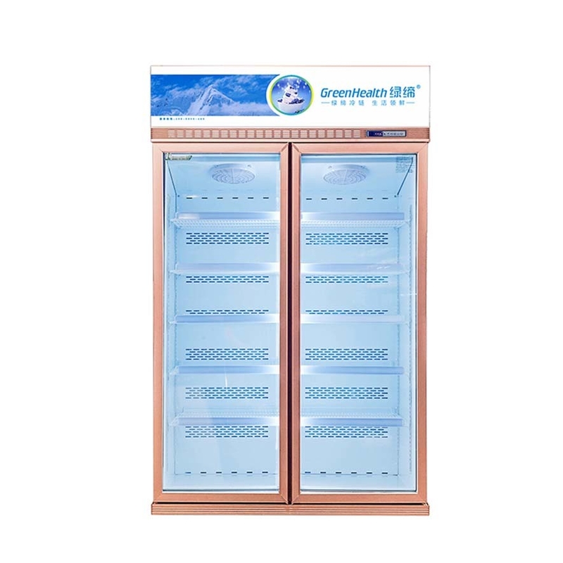 5 camadas Prateleiras Prateado Champanhe Cores de vidro Porta congelador Para alimentos do mar congelados