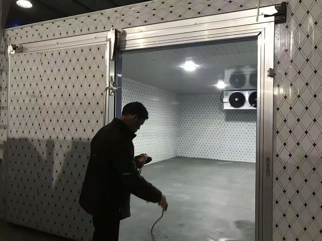 Vegetais e Frutas Armazenamento a frio Sala de frio Caminhada no congelador com unidade de condensação Copeland