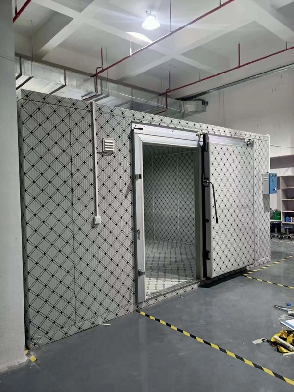 Controle eletrónico digital da temperatura Sala de armazenamento a frio para vegetais Frutas Carnes e peixes Personalizavel