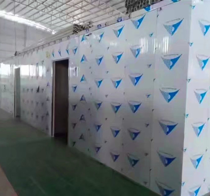Unidades de refrigeração de armazenamento a frio arrefecidas a ar Sala de frio para soluções de refrigeração personalizadas