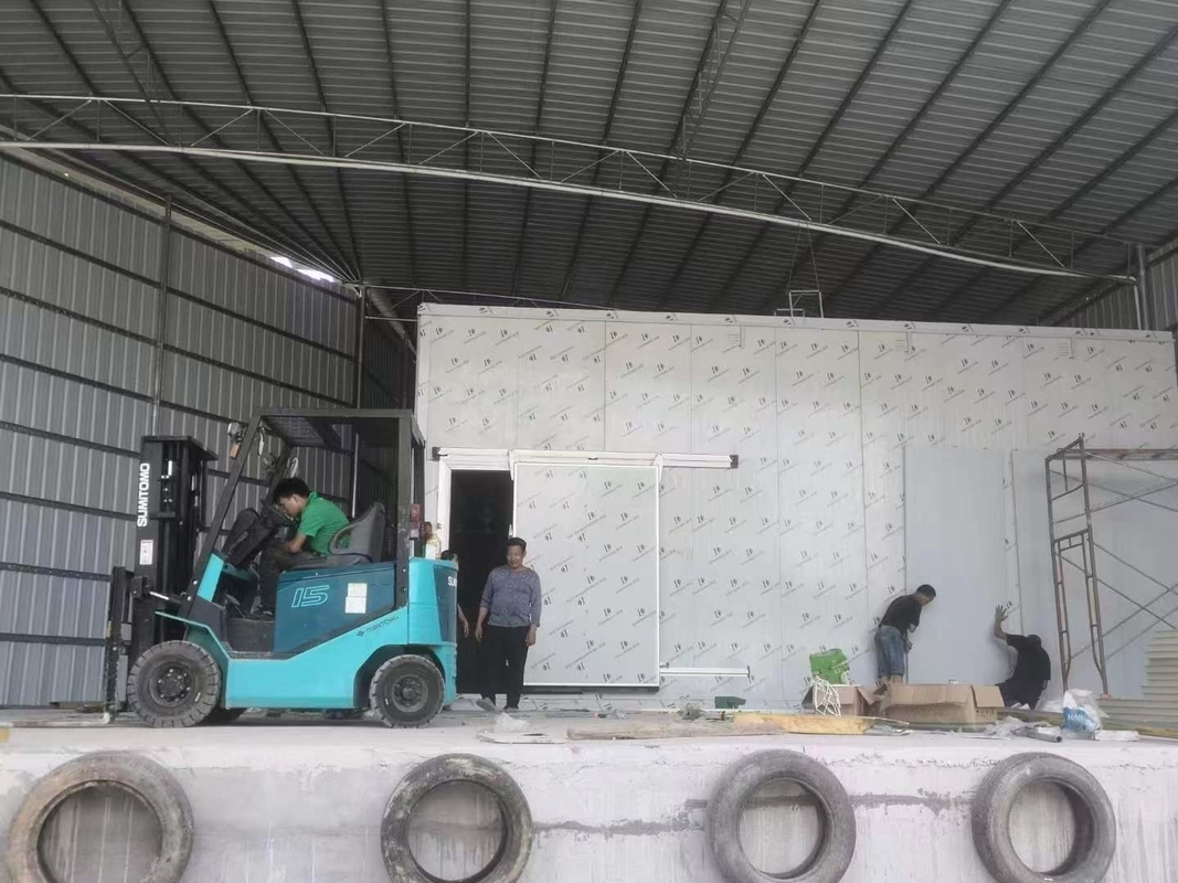 Sala de armazenamento comercial de alimentos Sala de armazenamento de resfriado Interior congelador com piso