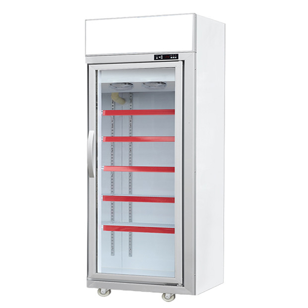 Supermercado comercial / loja com portas de vidro equipadas com frigoríficos de display de congelamento