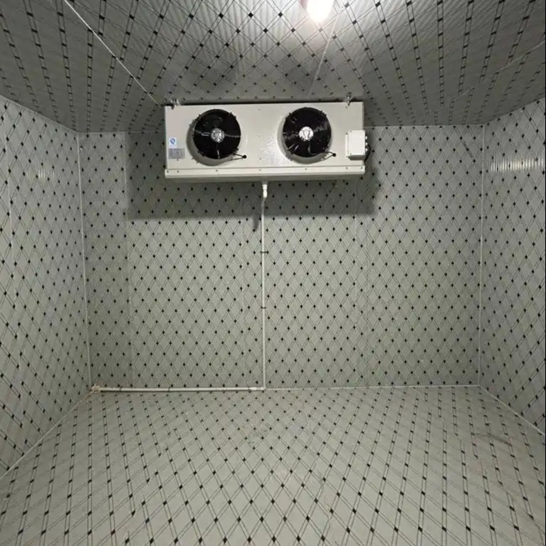 Requisitos de congelamento Modular Sala de frio com temperatura de -18 a -22°C
