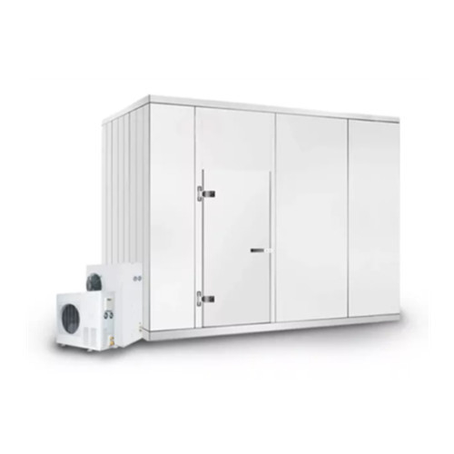 Soluções de armazenamento de alimentos Sala de armazenamento a frio Freezer comercial com temperatura personalizada