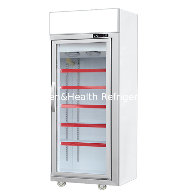 Freezer de Exibição de Armazenamento de Produtos Congelados de Luxo com Porta Única para Supermercado/Loja