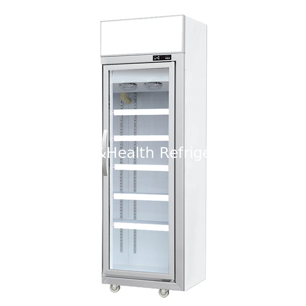 Freezer de Exibição de Armazenamento de Produtos Congelados de Luxo com Porta Única para Supermercado/Loja