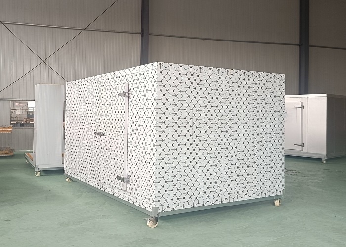 Câmara frigorífica personalizada para açougue, sala de armazenamento a frio refrigerada para processamento de carne