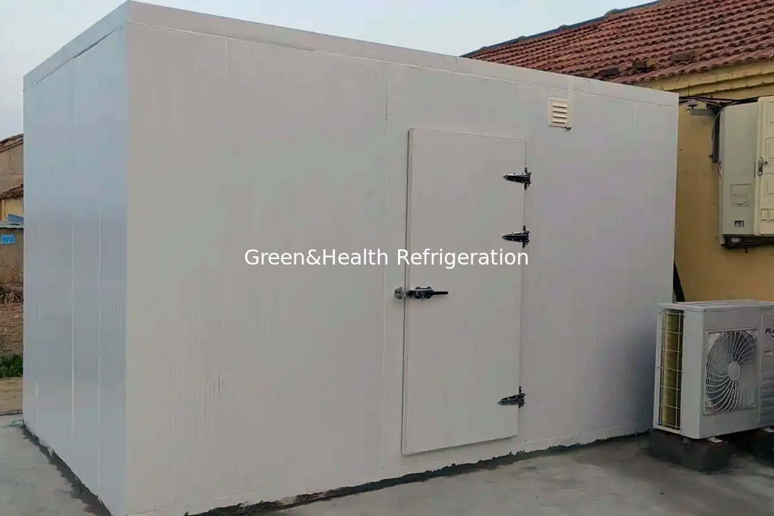 Painel de isolamento de PU e evaporador de resfriador de ar congelador de armazenamento de peixe para suas necessidades de negócios