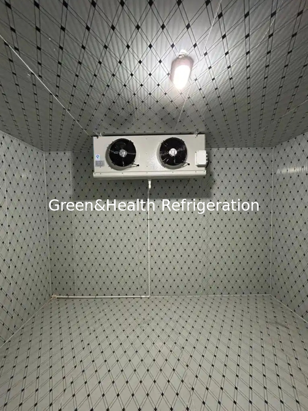 Painel de isolamento de PU e evaporador de resfriador de ar congelador de armazenamento de peixe para suas necessidades de negócios
