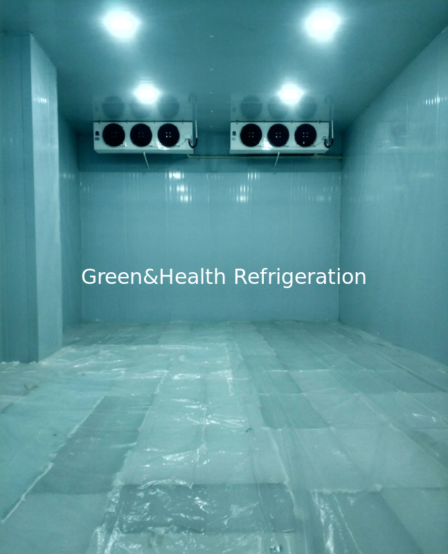 Câmara Frigorífica Personalizável Disponível em Vários Tamanhos e Faixas de Temperatura para Suas Necessidades Individualizadas