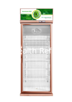 Refrigerador de bebidas comercial de descongelamento automático OEM Exibição de porta de vidro Refrigeração