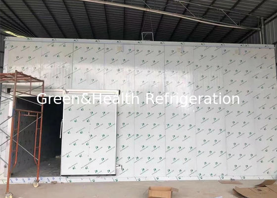 O plutônio do fechamento da came almofada a caminhada no congelador da sala fria para a sala de armazenamento modular da carne da galinha