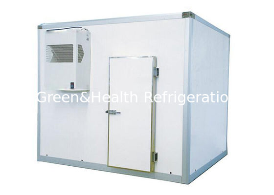 Commercial Supermercado Armazenamento Frio Marisco / Carne Bovina congelada WalK No Chiller