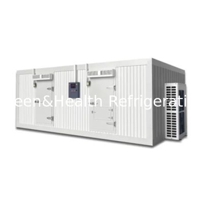 Sala de armazenamento de frio personalizável para congelação de carne e carne