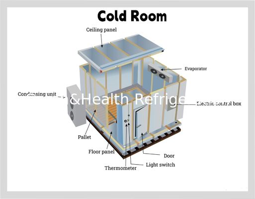 Painel de PU Alimentos Armazenamento Frio Restaurante Cozinha Comercial Walk In Freezer