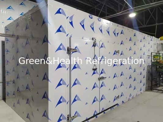 Sala de frio eficiente em termos energéticos com painéis de PU de alto desempenho