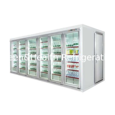 Refrigerador/caminhada de vidro refrigerados da exposição da porta no congelador de explosão com a prateleira de exposição para a carne e o vegetal