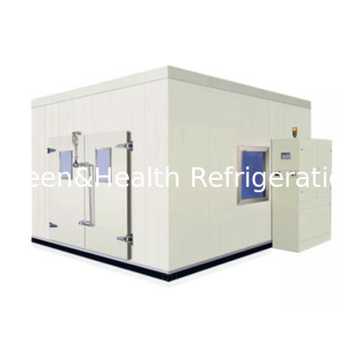 Compressor sistema de arrefecimento Sala de armazenamento de frio Caminho em congelador com painel de chão