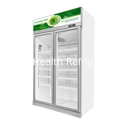 Economy Beverage Refrigerated Storage Display Freezer Com Duas Portas de Vidro