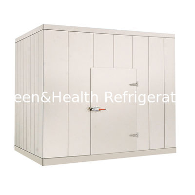 220V / caminhada 380V comercial na sala mais fria para o marisco vegetal da carne