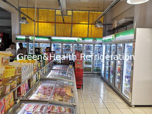 O refrigerador ereto da exposição da bebida da loja automático degela cinco PCes pela porta