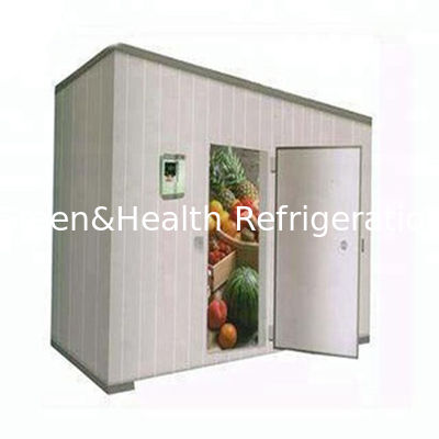 Sala de armazenamento frio automática completa para a galinha dos peixes com material duro do núcleo da espuma de poliuretano