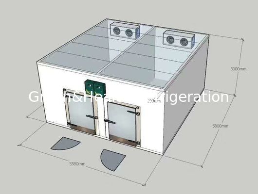 Caminhada em refrigeradores combinados da temperatura dupla do congelador/sala fria
