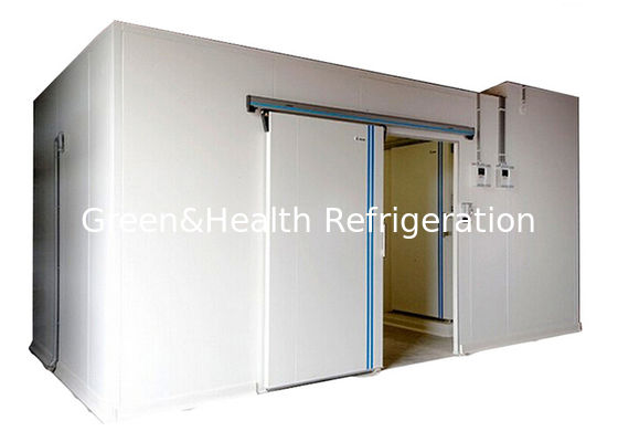 Gelado personalizado do vegetal de fruto do armazenamento frio do armazém da sala fria do tamanho